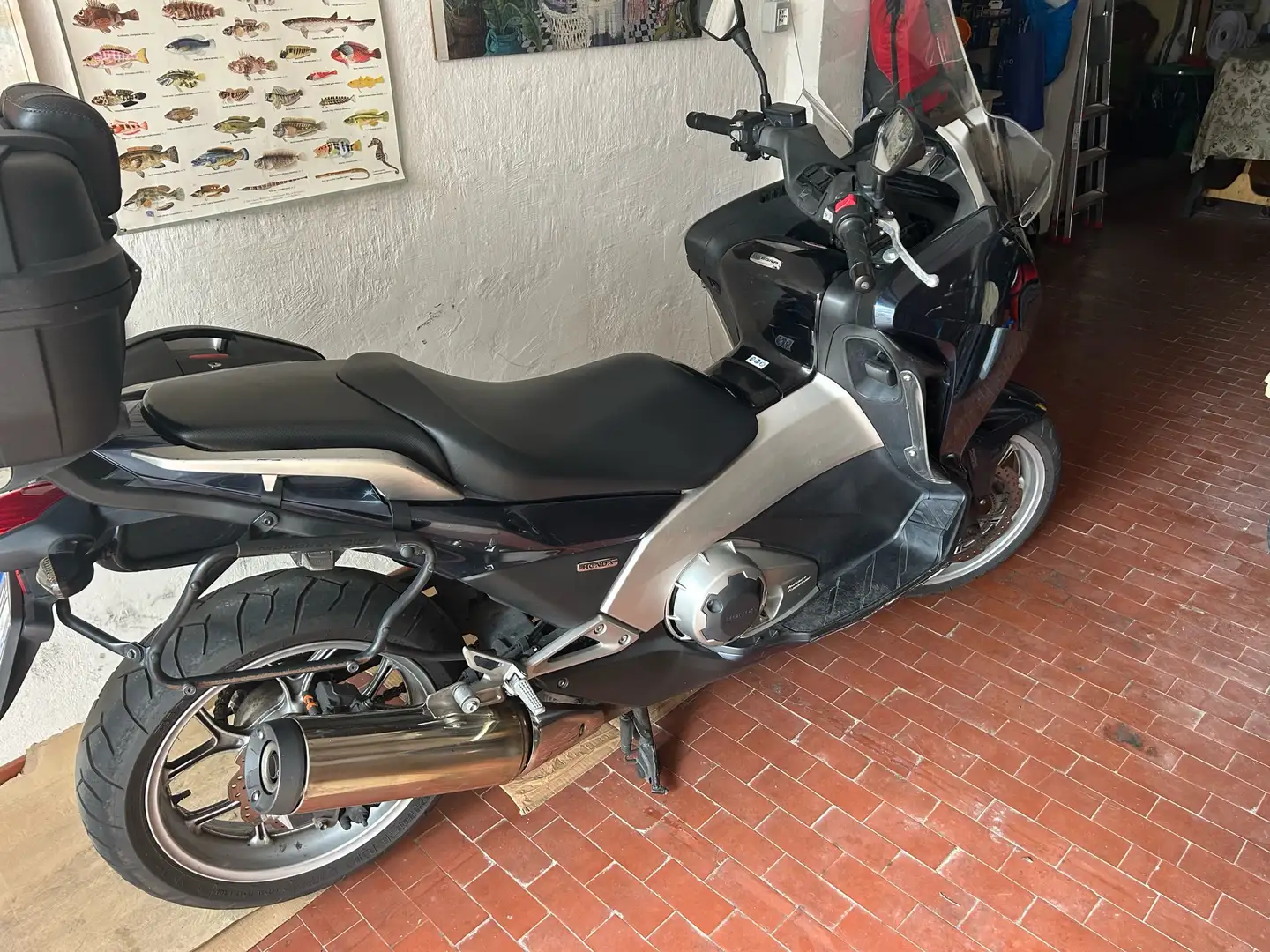 Honda Integra 2 bauletti e predisposizione per un terzo Blu/Azzurro - 2