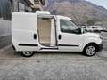 Fiat Doblo CARGO 1.3 MJT 16V 95CV FRIGO ATP EURO6 Blanc - thumbnail 4
