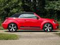 Volkswagen Beetle Cabriolet 1.4 TSI Sport | Clima | Cruise | Navi | Rood - thumbnail 12