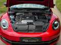 Volkswagen Beetle Cabriolet 1.4 TSI Sport | Clima | Cruise | Navi | Rood - thumbnail 23