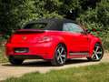 Volkswagen Beetle Cabriolet 1.4 TSI Sport | Clima | Cruise | Navi | Rood - thumbnail 7
