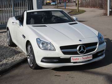 Roadster BlueEfficiency