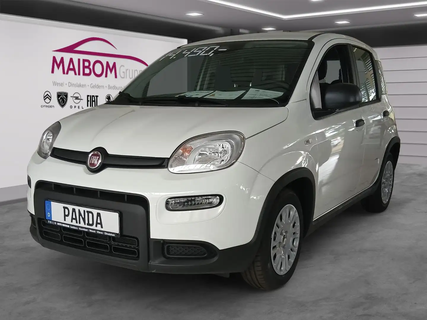Fiat Panda Pandina 1.0 GSE Weiß - 1