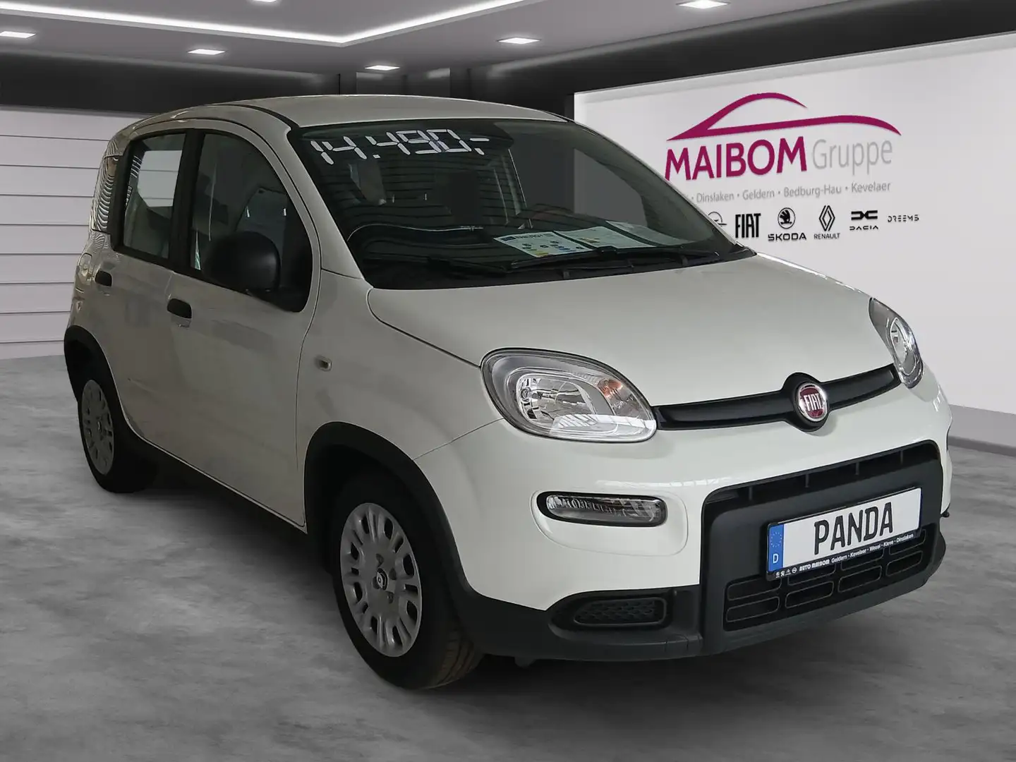 Fiat Panda Pandina 1.0 GSE Weiß - 2