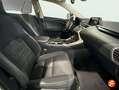 Lexus NX 300 300h Executive 4WD Blanco - thumbnail 13