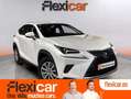 Lexus NX 300 300h Executive 4WD Blanc - thumbnail 1