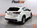 Lexus NX 300 300h Executive 4WD Blanc - thumbnail 8