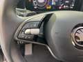 Skoda Kodiaq 2.0 Selection TDI DSG 4x4 Kamera AHK Sitz Grau - thumbnail 17