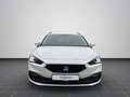 SEAT Leon 1.5 Style Edition SHZ GRA EPH Weiß - thumbnail 5