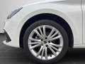 SEAT Leon 1.5 Style Edition SHZ GRA EPH Weiß - thumbnail 8