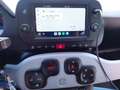 Fiat Panda Panda III Cross 1.0 firefly hybrid  Cross s - thumbnail 13