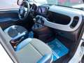 Fiat Panda Panda III Cross 1.0 firefly hybrid  Cross s - thumbnail 8