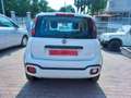 Fiat Panda Panda III Cross 1.0 firefly hybrid  Cross s - thumbnail 3