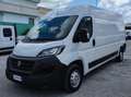 Fiat Ducato LH2 2.3MJ FURGONE PASSO LUNGO TETTO ALTO 3PTI-2020 Blanc - thumbnail 7