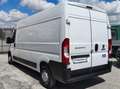 Fiat Ducato LH2 2.3MJ FURGONE PASSO LUNGO TETTO ALTO 3PTI-2020 Blanc - thumbnail 5