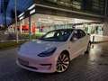 Tesla Model 3 Model 3 Long-Range Dual Motor Performance AWD Performance Blanco - thumbnail 2