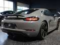 Porsche Cayman 718 Cayman Style Edition PDK Style Edition Grau - thumbnail 5