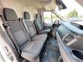 Ford Transit FT 350 L4 Klima SHZ 2xPDC ACC  ToT-Winkel Trend Weiß - thumbnail 9