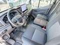 Ford Transit FT 350 L4 Klima SHZ 2xPDC ACC  ToT-Winkel Trend Weiß - thumbnail 6