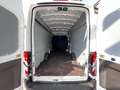 Ford Transit FT 350 L4 Klima SHZ 2xPDC ACC  ToT-Winkel Trend Weiß - thumbnail 12