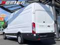 Ford Transit FT 350 L4 Klima SHZ 2xPDC ACC  ToT-Winkel Trend Weiß - thumbnail 4