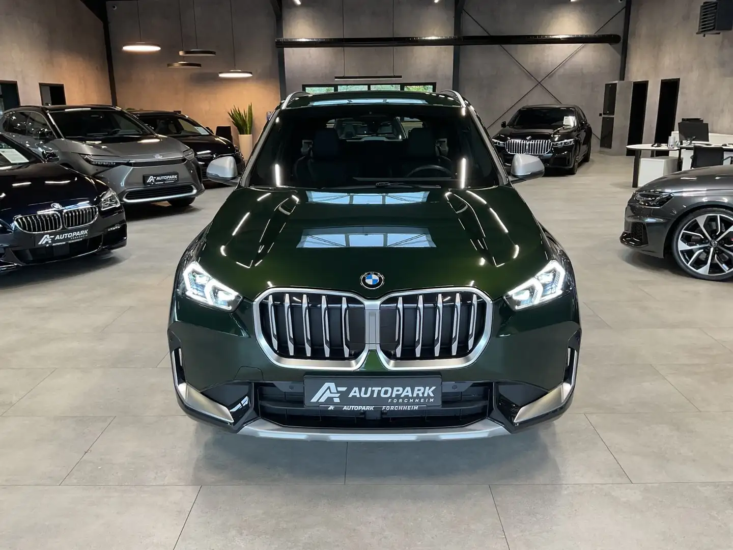 BMW X1 18i sDr. xLine LED Leder Kamera Keyless 20" Grün - 2