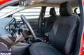 Ford Fiesta Fiesta 5p 1.1 Titanium 75cv - thumbnail 3