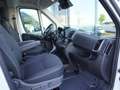Fiat Ducato Modular L2H2 180 Automatik / 9-Sitzer Blanco - thumbnail 14