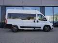 Fiat Ducato Modular L2H2 180 Automatik / 9-Sitzer Blanco - thumbnail 3