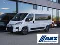 Fiat Ducato Modular L2H2 180 Automatik / 9-Sitzer Blanco - thumbnail 1