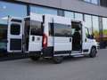 Fiat Ducato Modular L2H2 180 Automatik / 9-Sitzer Blanco - thumbnail 4
