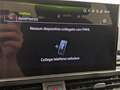 Audi A4 40 TDI quattro S tronic Bianco - thumbnail 11