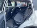 Toyota RAV 4 RAV4 2.5 Hybrid Executive AHK*Navi*ACC*KAM*DAB Weiß - thumbnail 8