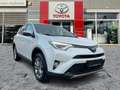Toyota RAV 4 RAV4 2.5 Hybrid Executive AHK*Navi*ACC*KAM*DAB Weiß - thumbnail 6