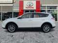 Toyota RAV 4 RAV4 2.5 Hybrid Executive AHK*Navi*ACC*KAM*DAB Weiß - thumbnail 3