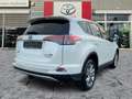 Toyota RAV 4 RAV4 2.5 Hybrid Executive AHK*Navi*ACC*KAM*DAB Weiß - thumbnail 5