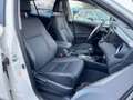 Toyota RAV 4 RAV4 2.5 Hybrid Executive AHK*Navi*ACC*KAM*DAB Weiß - thumbnail 9