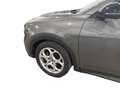 Alfa Romeo Tonale Diesel 130cv Sprint Grigio - thumbnail 12