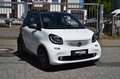 smart forTwo Cabrio NAVI KAMERA TÜV NEU Gris - thumbnail 2