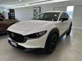 Mazda CX-30 2.0L e-Skyactiv-X 186CV M Hybrid 2WD Nagisa - thumbnail 1