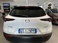 Mazda CX-30 2.0L e-Skyactiv-X 186CV M Hybrid 2WD Nagisa - thumbnail 28