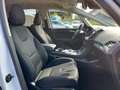 Ford S-Max Business 2.0 EcoBlue SCR Aut. 7-Sitzer-AHK-Kamera Alb - thumbnail 4