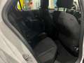 Lancia Ypsilon 1.2 mhev Bianco - thumbnail 6