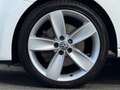 Volkswagen Polo 1.2 TSI R-Line Edition - PANORAMADAK - XENON - CRU Blanc - thumbnail 13