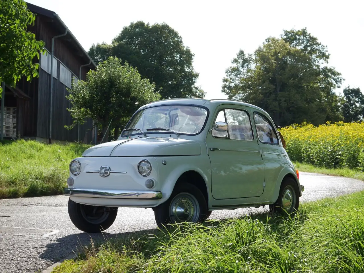 Fiat 500 D Nuova Trasformabile, foto 6