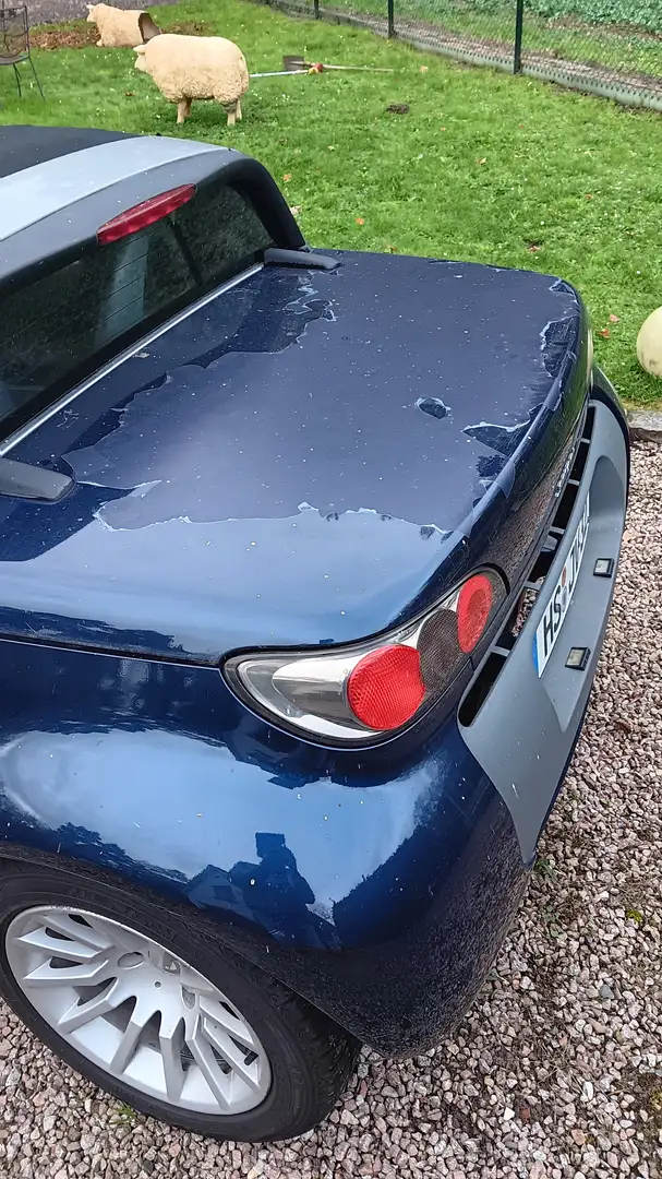 smart roadster smart roadster affection Blau - 2