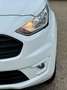 Ford Transit Connect 200 L1 Kasten Trend PDC|Klima Weiß - thumbnail 4