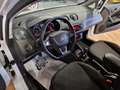 SEAT Ibiza Ibiza 5p 1.2 tsi FR Bianco - thumbnail 8