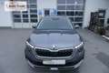 Skoda Kamiq Style 1.5 TSI 150 PS Navi via Full Link Voll-LE... Grau - thumbnail 9