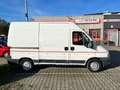 Fiat Ducato Ducato Maxi M2B Weiß - thumbnail 2